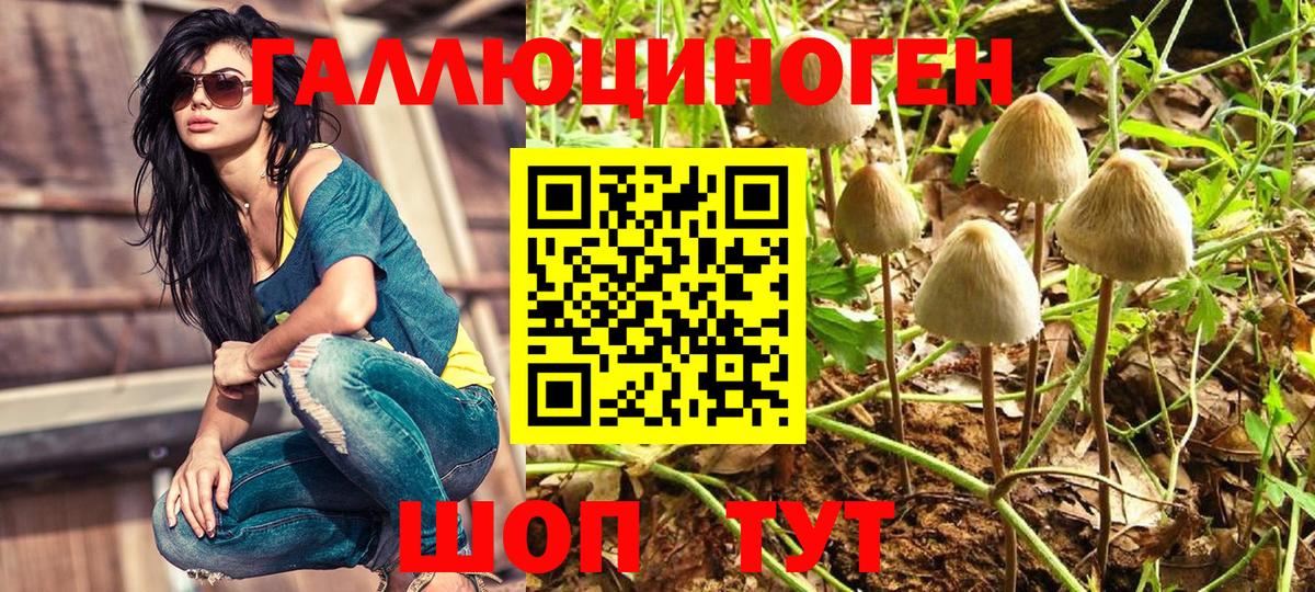 Псилоцибиновые грибы Psilocybine cubensis  Псилоцибиновые грибы прущие грибы  Вход с VPN  наркотики  Сердобск 